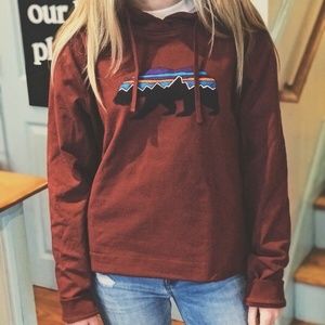 patagonia fitz roy bear sweatshirt